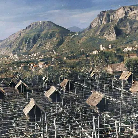 מלון דירות L'incanto פיאנו די סורנטו